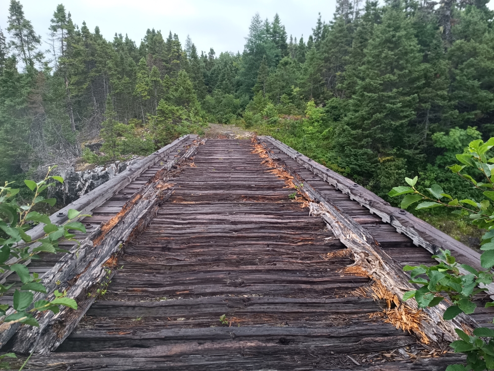 De Clarenville à Port Rexton : l’aventure c’est l’aventure ! ! (18 / ?)